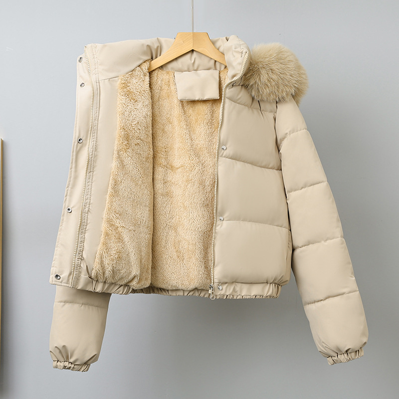 Wool Coat Peacoat - Winter Korte Parka's Dames Katoen Gevoerde