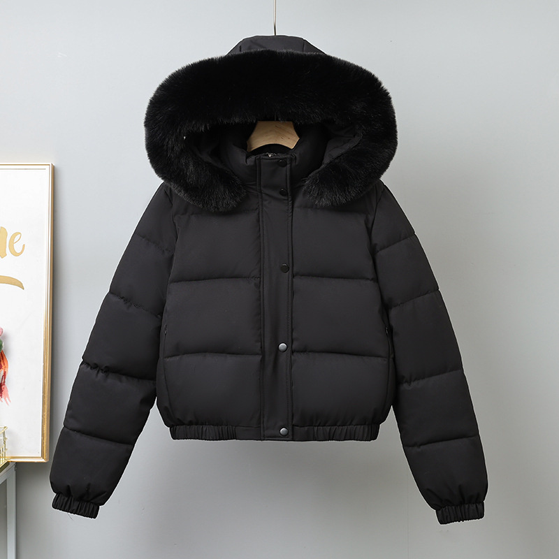 Winter Korte Parka's Dames Kat - Wool Coat Peacoat recensie en prijs